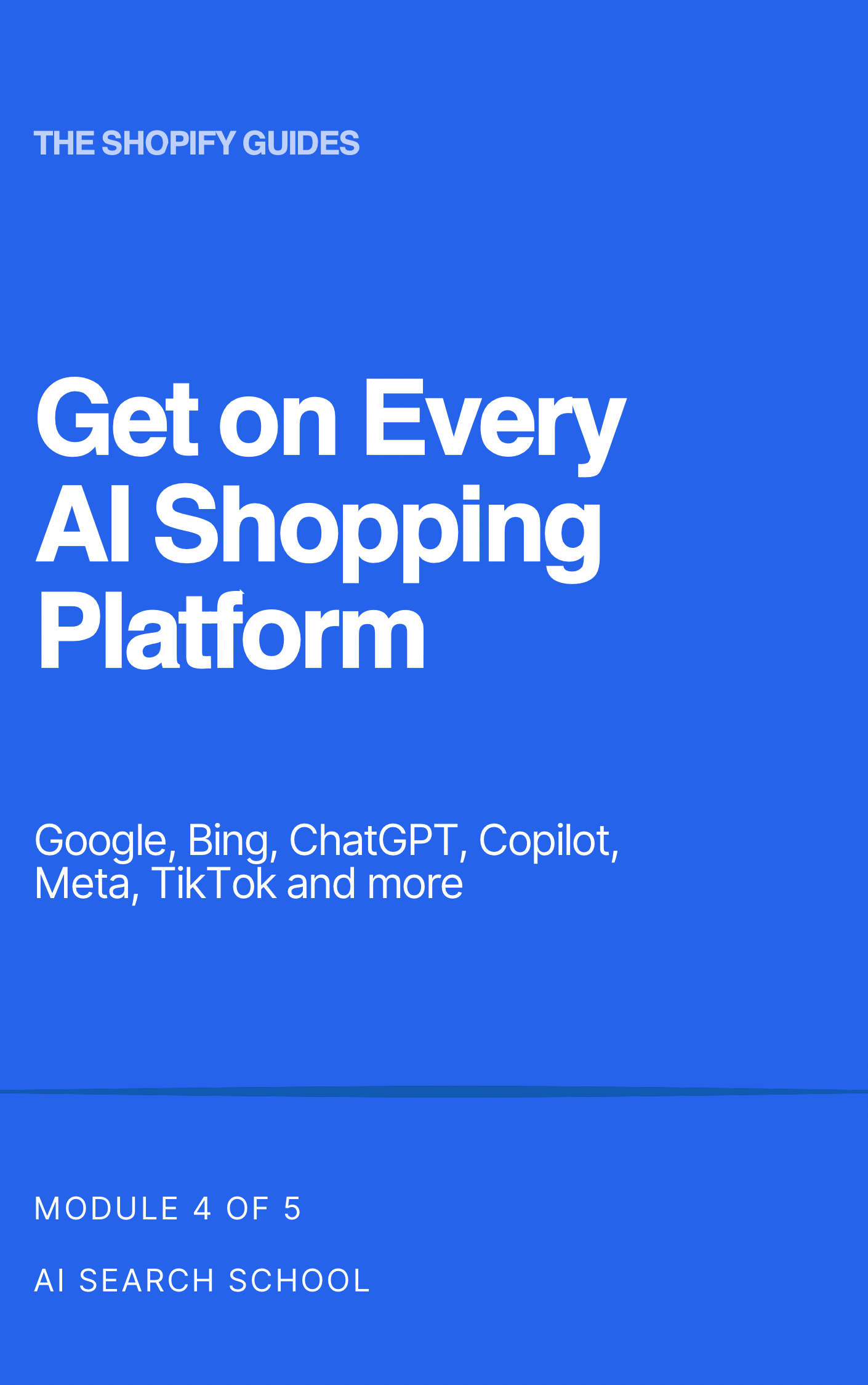 Get Your Shopify Store on Every AI Platform - Module 4 of 5 - 25 page PDF - AI Search School